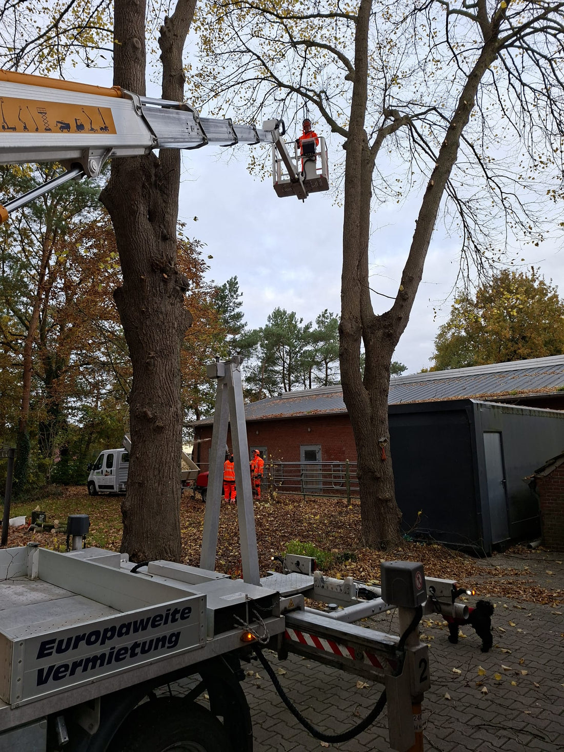 Mystic-T zieht nach Heede – und das Abenteuer beginnt!