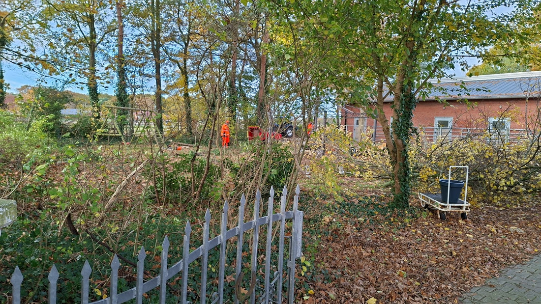 🏰 Mystic-T zieht nach Heede – und alles beginnt mit Erde, Holz und Herzblut!