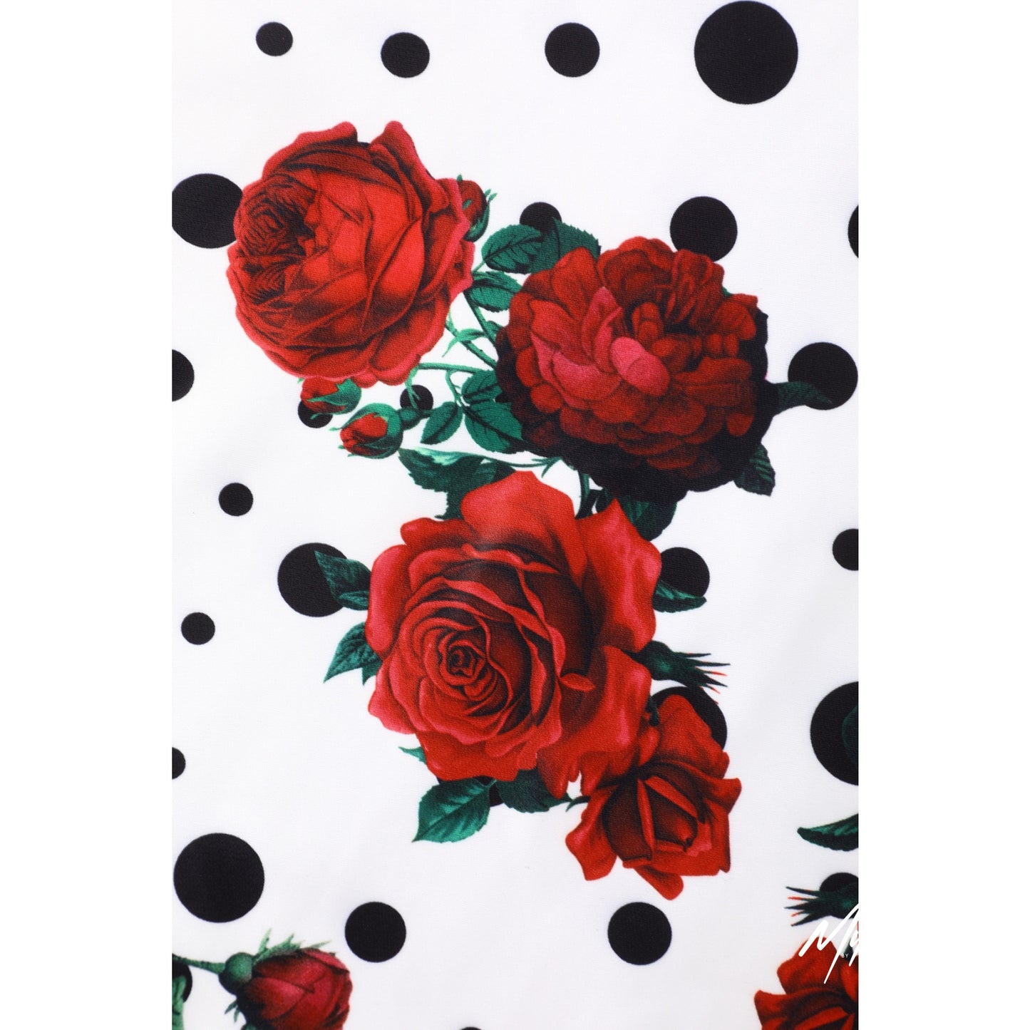 Grace Vintage Style Jive Dress In White Rose